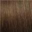 Instant Pony - Natural Afro 18" Swatch
